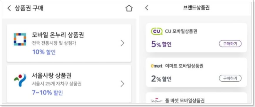 비플제로페이