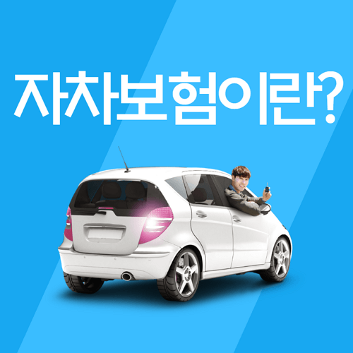 자차보험 뜻