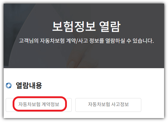 내 자동차보험 찾기